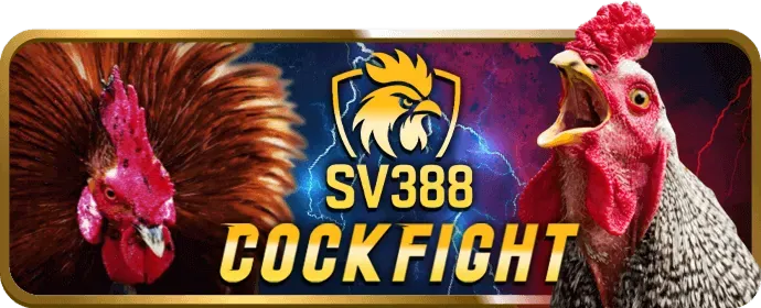Cá cược bóng rổ tại 2bongcom link vào